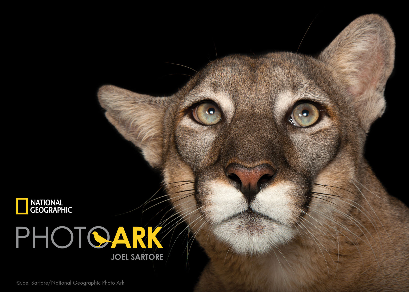 Photo Ark